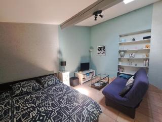 Studio avec jardin à 5 min du Parc Walibi - Roquefort - 9