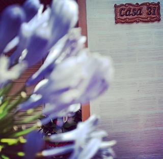 "Casa 31 San Martin" - 4