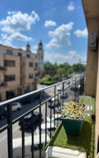 Bulevard Apartments - Satu Mare - 4