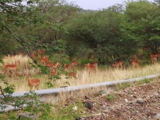 Von Bach Dam Resort - 2