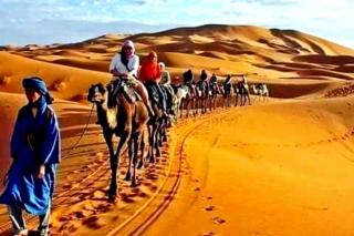 Merzouga Tours - Merzouga - 3