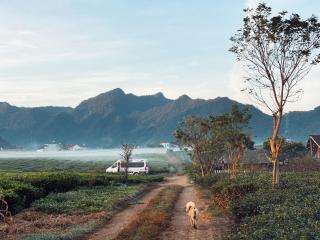 Tiệm Cà Phê Mer Homestay & Coffee Mộc Châu - 5