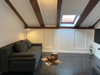 PENTHOUSE RIJEKA CENTAR - Rijeka - 3