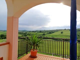 Agriturismo Podere Verdicchio - Scansano - 5