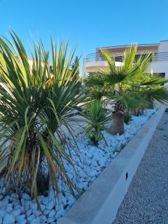 Magnifique villa avec piscine dans sud de la France - Saint-Gervasy - 6