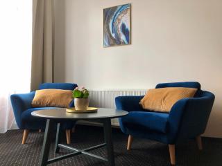 Pension Drei Rosen - Karlovy Vary - 0