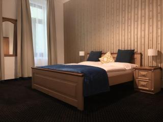 Pension Drei Rosen - Karlovy Vary - 9