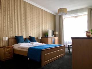 Pension Drei Rosen - Karlovy Vary - 7