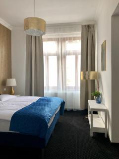 Pension Drei Rosen - Karlovy Vary - 4