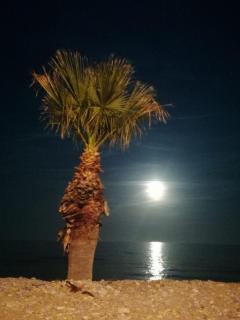 MARINADor JOSMAR - 6