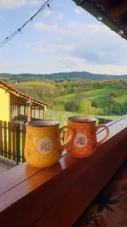 Apartman Nana - Gornji Milanovac - 9