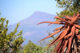 Waterberg Hideaway - 7