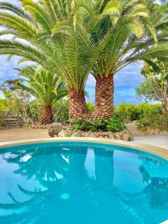 Exclusiva Villa con Piscina Privada, Villa Juandana - San Juan de la Rambla - 9