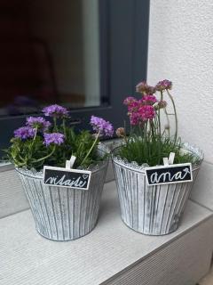 Apartmán ANA - Terchová - 9