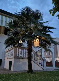 Casa del Vigneto - Spinea - 8