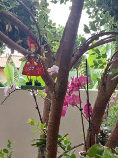 Casa d' Avó Zeza - 3