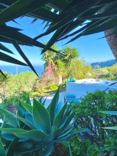 Casa Calma, Private Paradise with Sea View - La Orotava - 9