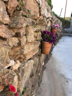 Casa da Clarinha - Castelo de Paiva - 9