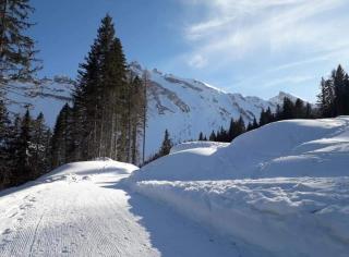 Il Terrazzo Sulle Dolomiti - Cibiana - 8