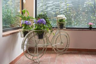 Il Casale Relais - 1
