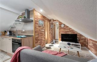 Cozy Home In Gracac With Sauna - 5