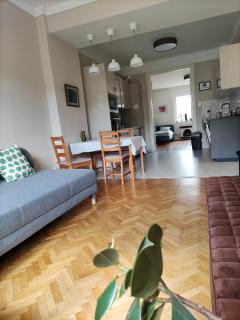 Park view, close to river, AC, Bauhaus vibe, 2 balconies - Budapeste - 5