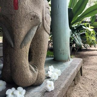 The Jungle House - Arugam Bay - 5