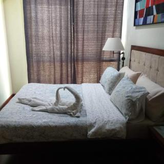 Affordable high-end one-bedroom condominium in the center of Cebu City - Cebu City - 3