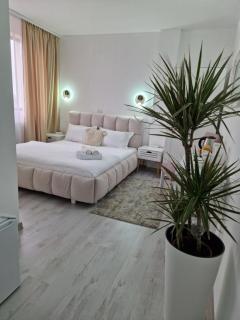 Caprice Deluxe Accomodation - Drobeta-Turnu Severin - 4