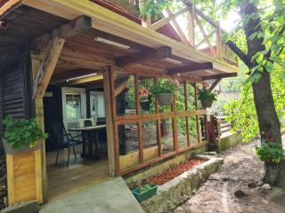 Ribarev san - Ovčar Banja - 6
