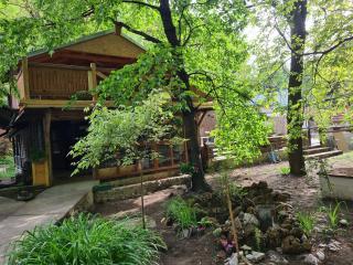 Ribarev san - Ovčar Banja - 7