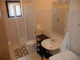DUBRAVKA Apartment with 2 bedrooms and terrace - 1