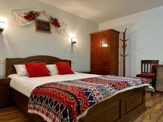 Casa Aurelia - Chişcău - 7