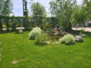 Casa Elis Piscina, Jacuzzy , Sauna, Ciubar - 2