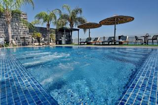 Tchelet and Bazelet - 8