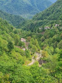 სახლი მდინარის პირას - 8