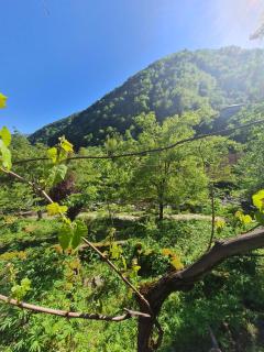 სახლი მდინარის პირას - 0