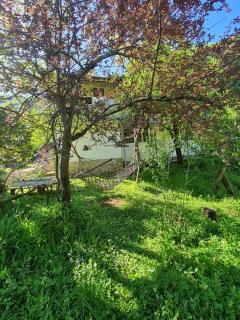 სახლი მდინარის პირას - 2