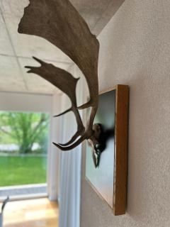 Moderne Ferienwohnung Rhenum mit Wallbox - Waldshut-Tiengen - 1