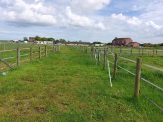 Braemar Equestrian, East Riding of Yorkshire - Burton Pidsea - 9