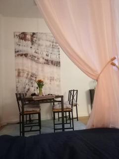 Obszerne mieszkanie w centrum uzdrowiska z garażem - 6