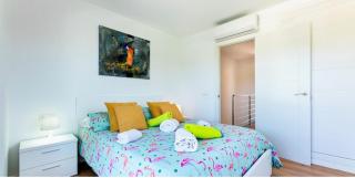 Babamas 2 ETVPL 15761 - 1