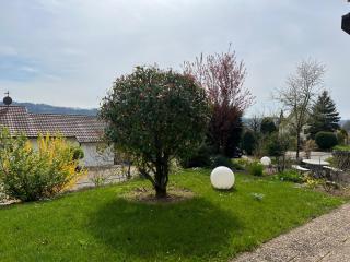 Kleine Wohnung mit schönem Blick in die Schweiz - Grenznah - Murg - 6