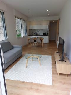 La Villa Bompard 48M2 Cœur de ville avec terrasse - Rodez - 1