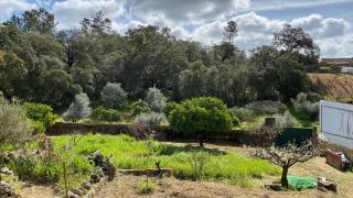 Casalinho in Portugal Country House - Tomar - 6