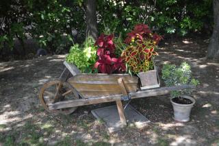 Gîte sous les chênes : pour un séjour ressourçant - 2