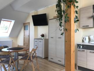 Apartament Joanna - Wapnica - 5