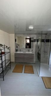 Maison avec piscine au milieu des bois - Illartein - 8