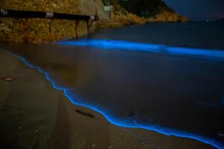 Horn Seaside Homestay - 7