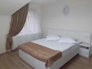 Vila Zorilor - Dâmbovicioara - 2